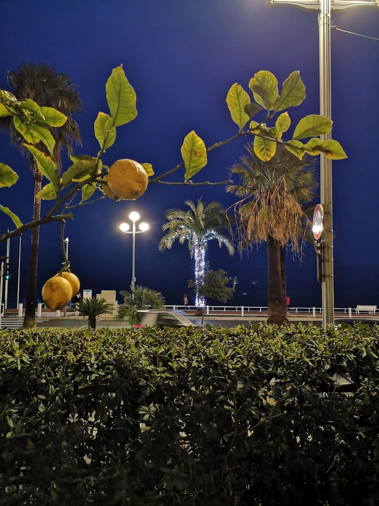 Ferienwohnung Garden Atlantide Promenade Nizza Exterior foto