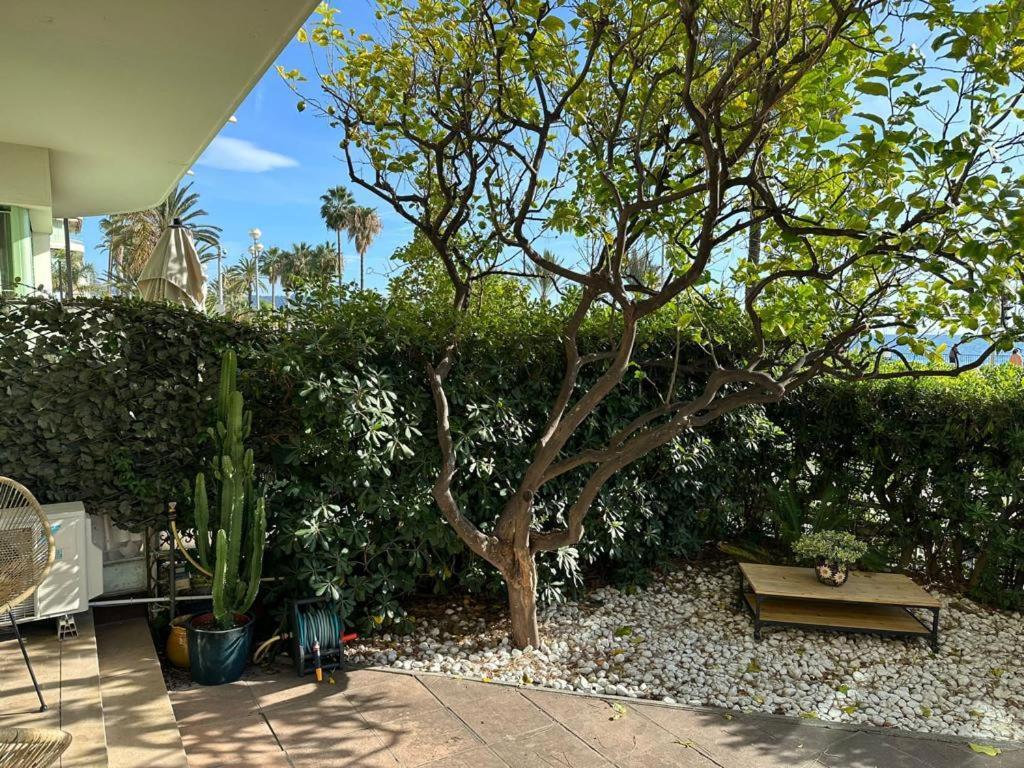 Ferienwohnung Garden Atlantide Promenade Nizza Exterior foto